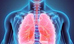 Tubercolosi, sintomi e trasmissione