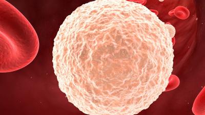 Globuli bianchi: quali sono i valori standard