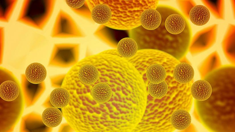 Immuno oncologia Che Cos E A Cosa Serve Paginemediche