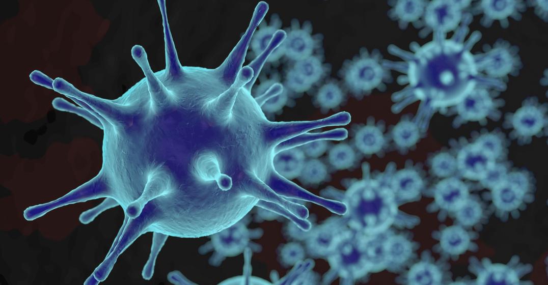 Come funziona il sistema immunitario