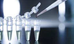 Al via le sperimentazioni sulle cellule staminali embrionali in USA