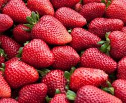 Alimenti: Fem, da frutta rossa e 'blu' gli effetti benefici più veloci