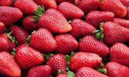 Alimenti: Fem, da frutta rossa e 'blu' gli effetti benefici più veloci