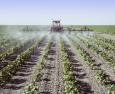 Alimenti sempre più sicuri: residui pesticidi nella norma