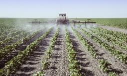 Alimenti sempre più sicuri: residui pesticidi nella norma