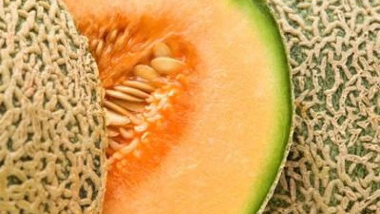 Allergie alla frutta: attenzione al melone e alla pesca