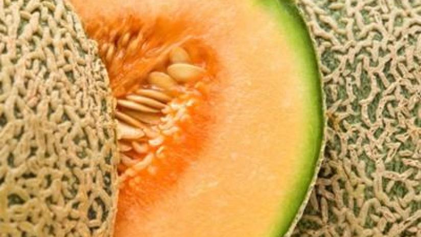 /news-ed-eventi/allergie-alla-frutta-attenzione-al-melone-e-alla-pesca/melone.jpg /news-ed-eventi/allergie-alla-frutta-attenzione-al-melone-e-alla-pesca/melone.jpg