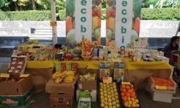 Ambiente: Lav, scelta vegana soluzione per preservarlo da continui attacchi