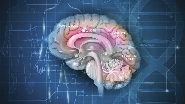 L'importanza della prevenzione contro l'ictus cerebrale