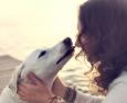 Attenzione ai 'baci' di cani e gatti: si rischiano infezioni