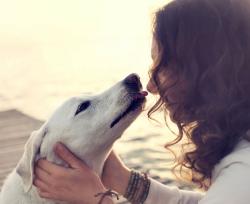 Attenzione ai 'baci' di cani e gatti: si rischiano infezioni