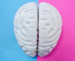 Cervello femminile e cervello maschile: quello delle donne è più giovane