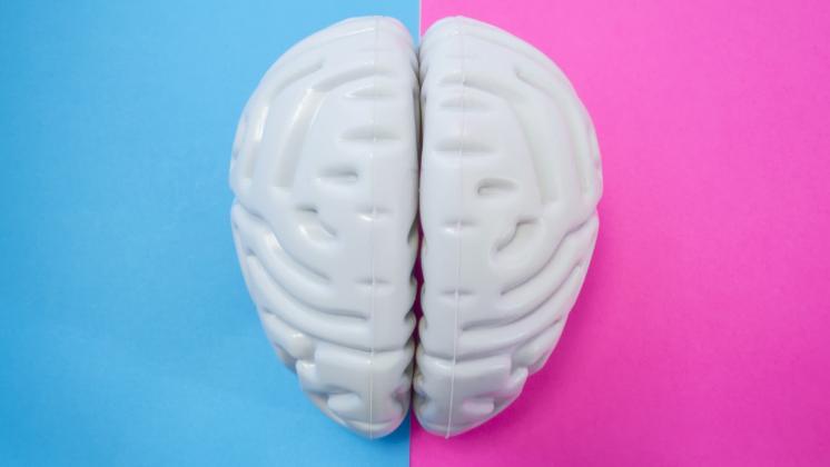 Cervello femminile e cervello maschile: quello delle donne è più giovane