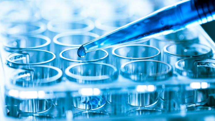 Fertilità femminile: il futuro è l'ovaio artificiale