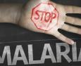 “Ready to beat malaria”: pronti a sconfiggere la malaria