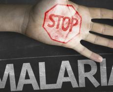 “Ready to beat malaria”: pronti a sconfiggere la malaria