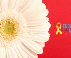 Giornata Mondiale dell'Endometriosi 
