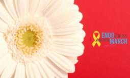 Giornata Mondiale dell'Endometriosi 