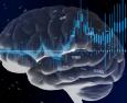 Il “mormorio” delle onde cerebrali: uno studio ci dice a cosa serve