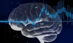 Il “mormorio” delle onde cerebrali: uno studio ci dice a cosa serve
