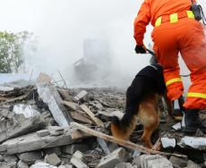 Il terremoto ha effetti negativi anche sul cuore