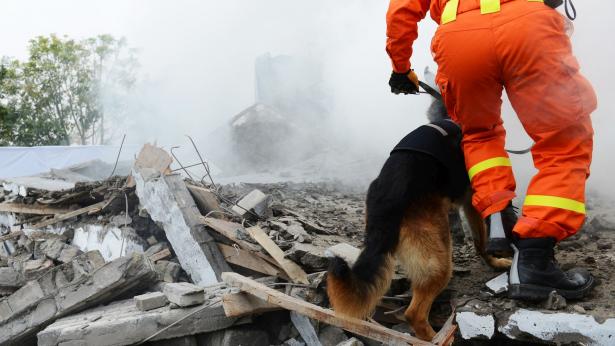 Il terremoto ha effetti negativi anche sul cuore Il terremoto ha effetti negativi anche sul cuore