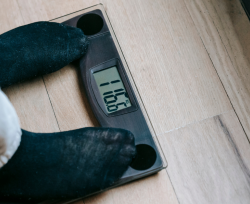 L&rsquo;Italia riconosce l&rsquo;obesit&agrave; come malattia