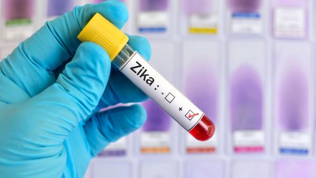 L'OMS dichiara il virus Zika un'emergenza sanitaria internazionale