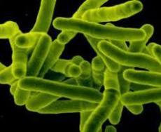 Medicina: in Usa primo caso batterio 'invincibile', resistente a tutti antibiotici