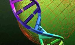 Ricerca: mappato primo Dna fenicio