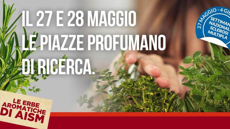 Settimana Nazionale della Sclerosi Multipla, tra informazione e confronto