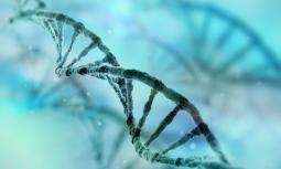 CRISPR: uno strumento per modificare il codice genetico