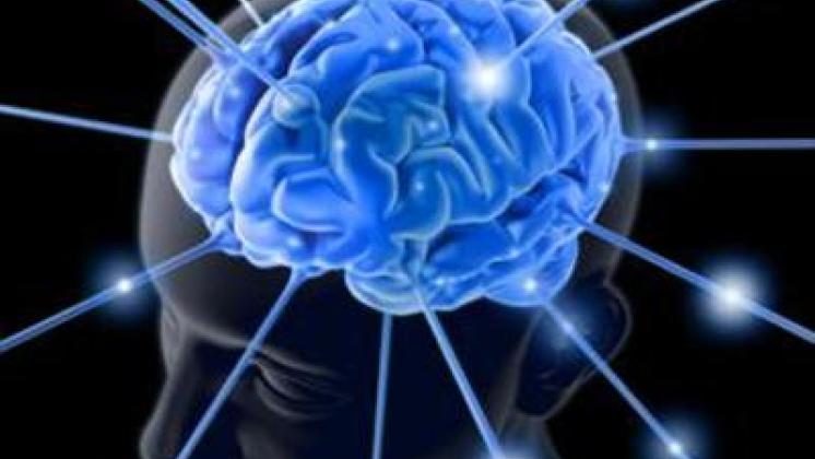 Spegnere un gene per cancellare i brutti ricordi