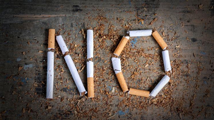Stop al fumo di sigaretta: la campagna mondiale
