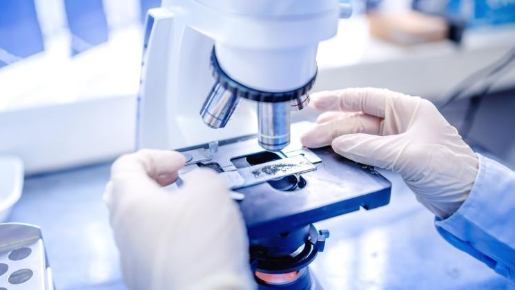 Una nuova interazione molecolare per combattere lo sviluppo dei tumori