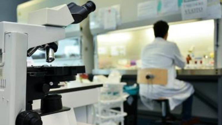 Via libera alla prima terapia genica per i 'bimbi in bolla': una rivoluzione made in Italy