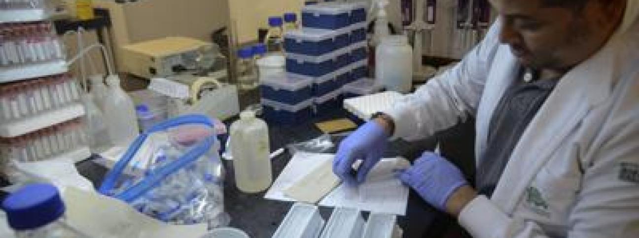 Zika: sperimentati due vaccini per proteggere dal virus