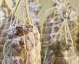 Additivi alimentari: sono pericolosi per la salute?