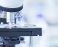 Medicina e innovazione vanno in scena a Bologna in occasione del TEDMED Italia