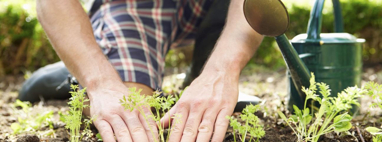 Ortoterapia: quando prendersi cura delle piante fa bene all’anima