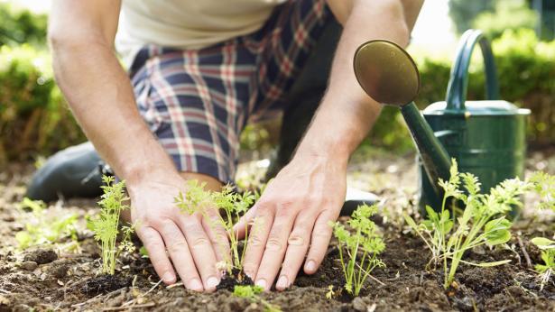 Ortoterapia: quando prendersi cura delle piante fa bene all’anima