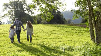 verde natura e foreste benefici effetti sulla salute e sull umore