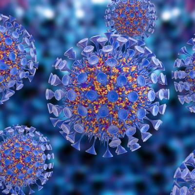 Speciale Nuovo Coronavirus